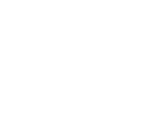 light logo
